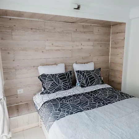 Apartment Casa Biris *